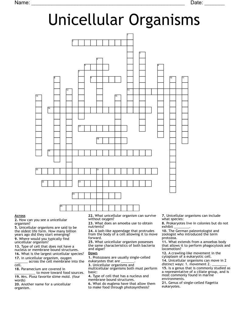 Unicellular Organisms Crossword WordMint