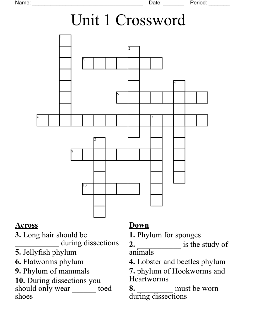 Unit 1 Crossword WordMint Unit 1 Crossword WordMint