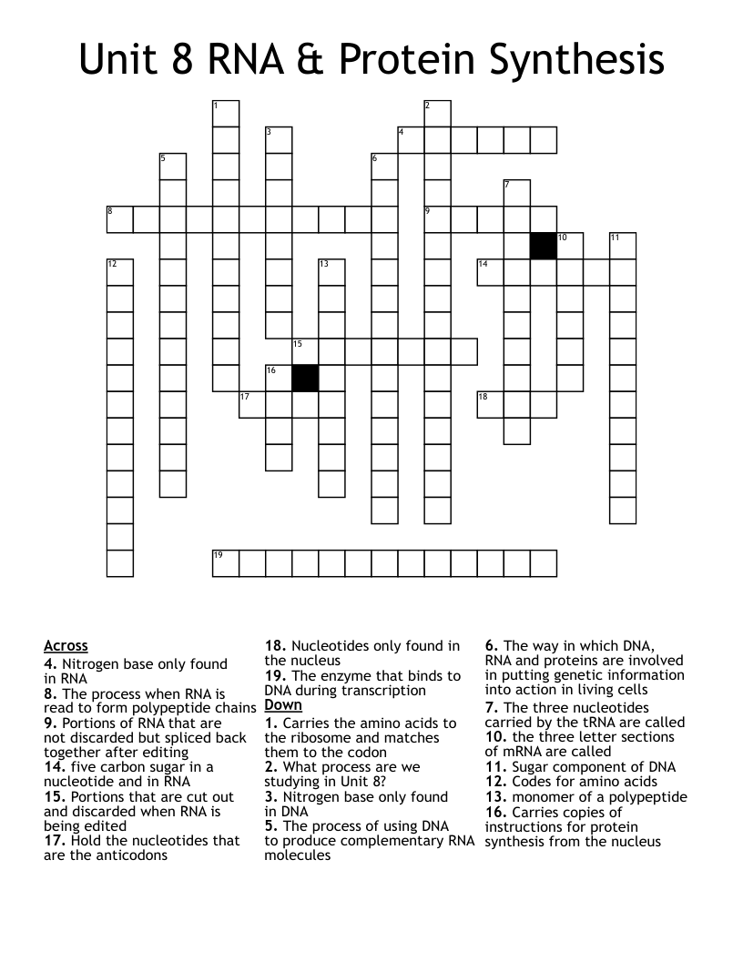 Unit 8 RNA Protein Synthesis Crossword WordMint