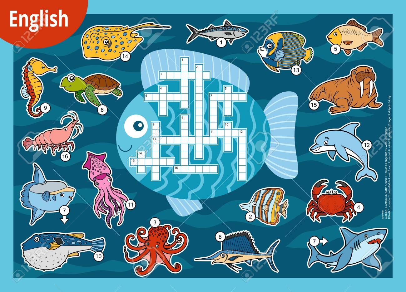 colorful fish crossword