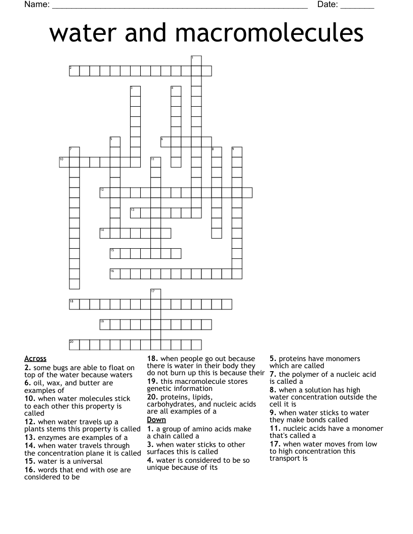 Water And Macromolecules Crossword WordMint Water And Macromolecules Crossword WordMint