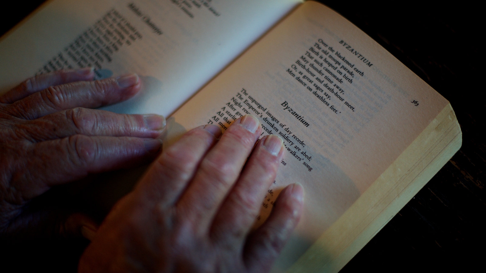 What The Heck Is That RECTO The New York Times