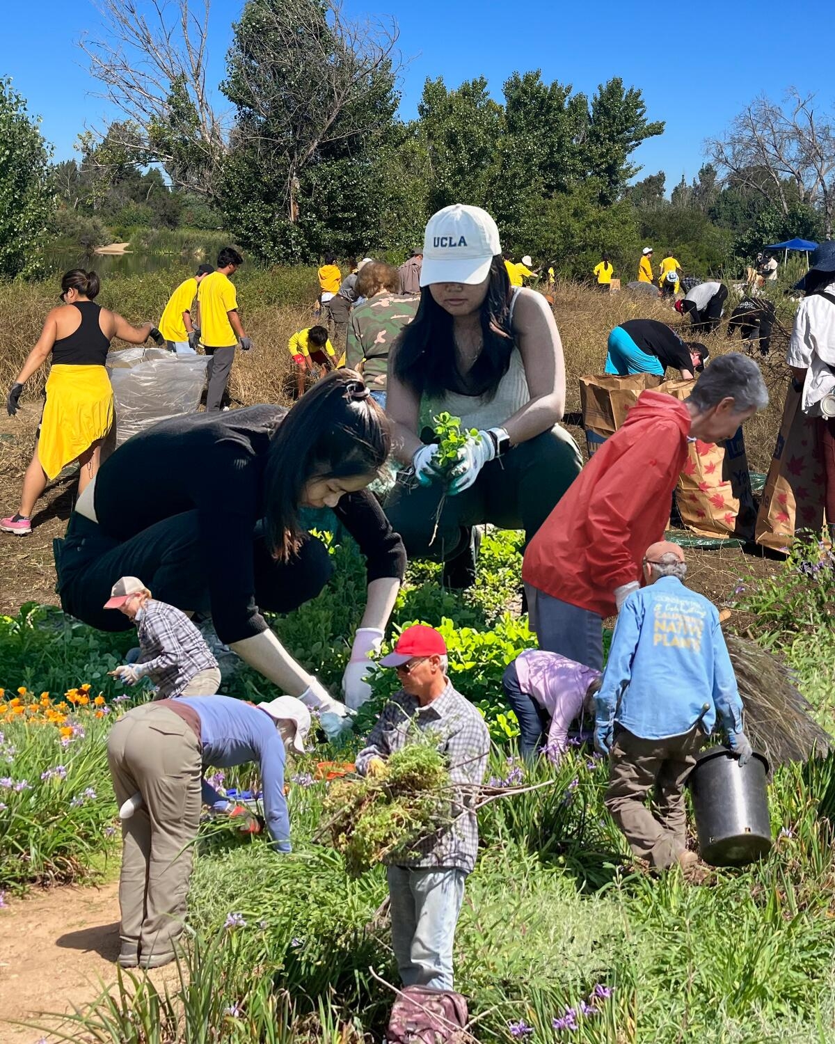 south facing gardens maybe crossword