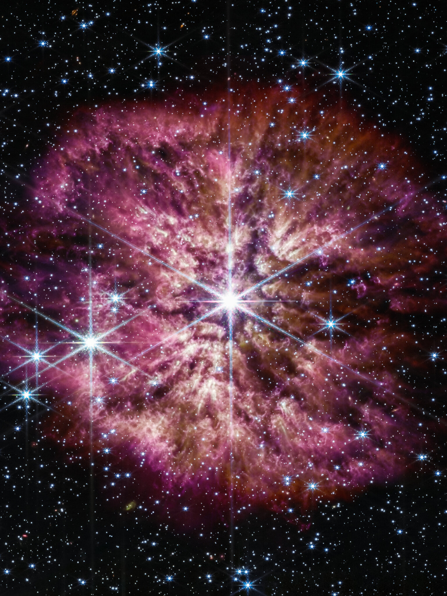 Who Will Have The Last Word On The Universe The New York Times